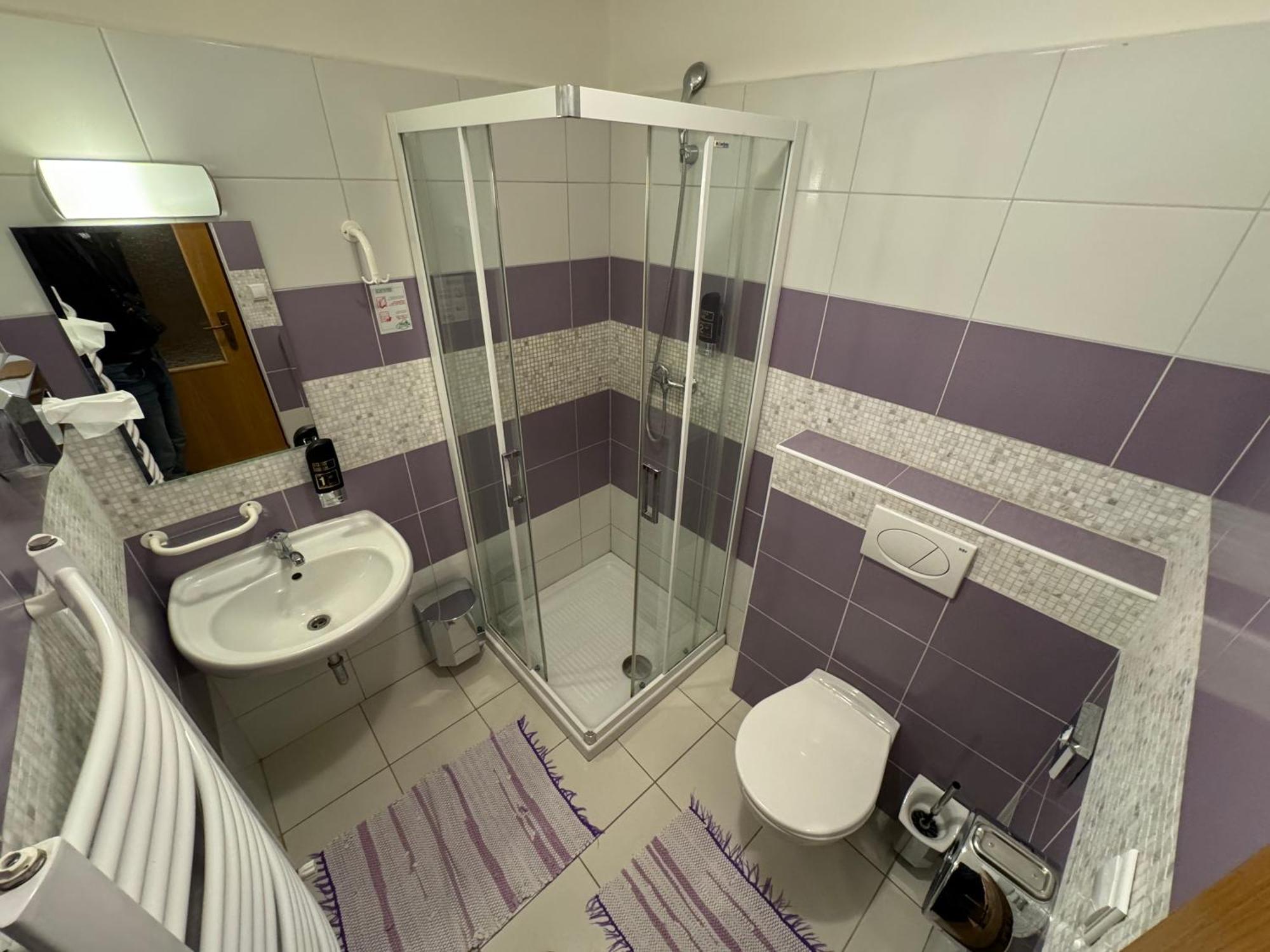 Pension U Svateho Jana Hradec Kralove Exterior photo